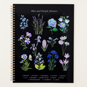 collection de fleurs bleues et violettes peintes à