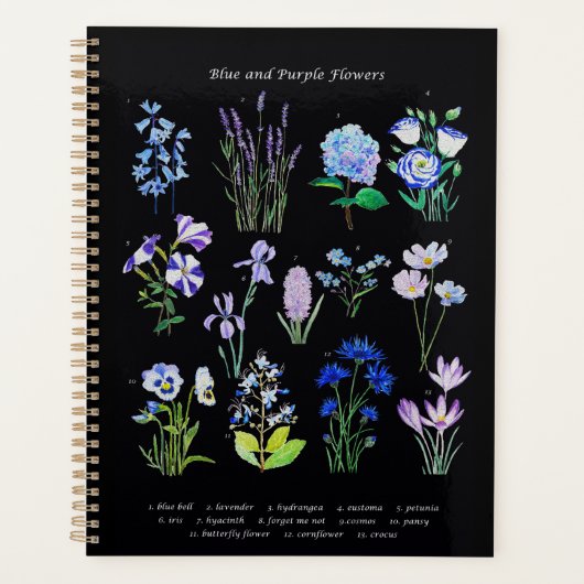 collection de fleurs bleues et violettes peintes à (Devant)