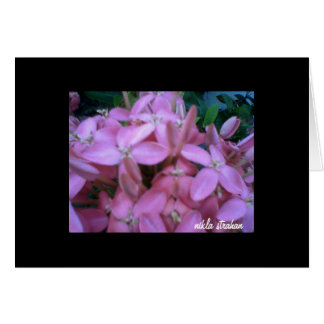 *COLLECTION DE FLEURS*   carte de note