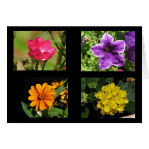 Collection de jolies fleurs