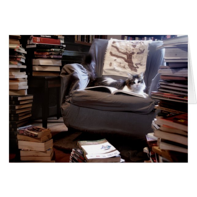 Collection de livres de Miss Kitty (Devant horizontal)