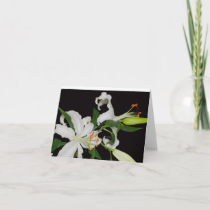 Collection de lys artistiques - Cartes de vœux