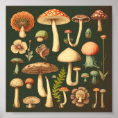 Collection de petits champignons Retro 2 Poster (Devant)