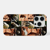 Collection de suricates Photo Collage, (Verso Horizontal)