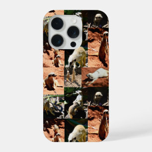 Collection de suricates Photo Collage,