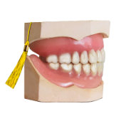 Dentist Afstuderen Congrint Wijnlabel Wijn Etiket