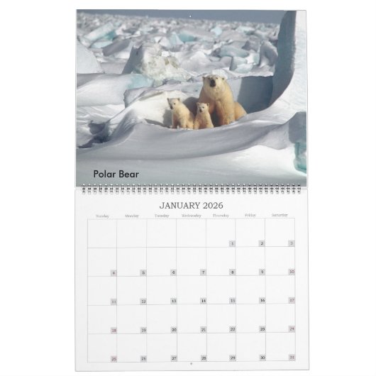 Collection d'espèces en péril Calendrier des 12 mo (Jan 2026)