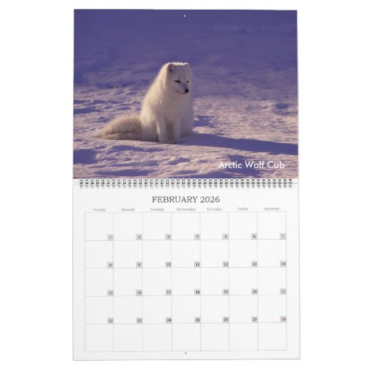 Collection d'espèces en péril Calendrier des 12 mo (Feb 2026)