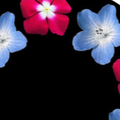 Invitation Fleur rose et bleue sur noir