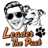 Chef de la Carte Postale Pack - Chien Papa Fête de