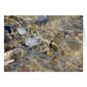 Collection "Ebb and Flow"