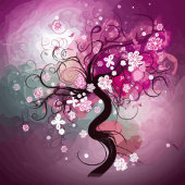 Body Danse Enchantée Cherry