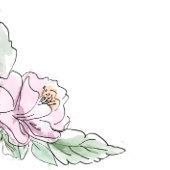 Cartes de notes Elégant Appartement Moderne Botani