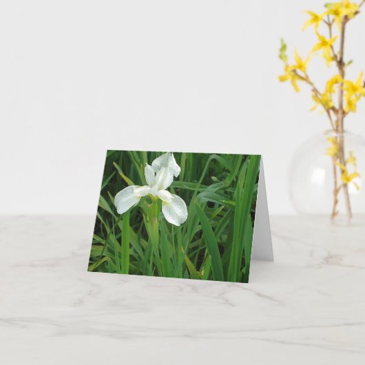 Collection florale de carte pour notes d'iris (Fleur jaune)