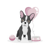 Ruban En Satin Curte Yorkshire Terrier Anniversaire