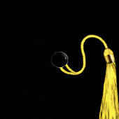 Papier Cadeau Diplôme personnalisé 2025 Cadeau