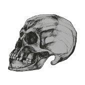Sticker Halloween Skull Vinyl