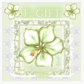 Hibiscus & kant WIT Etui