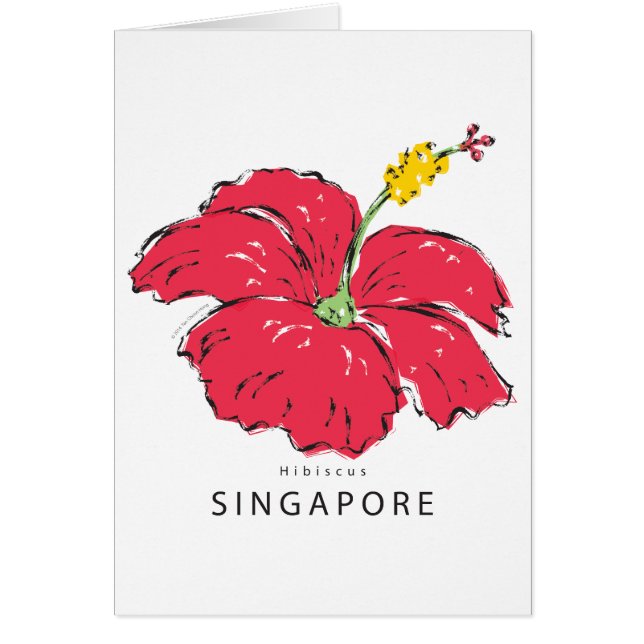COLLECTION HIBISCUS DE SINGAPOUR (Devant)