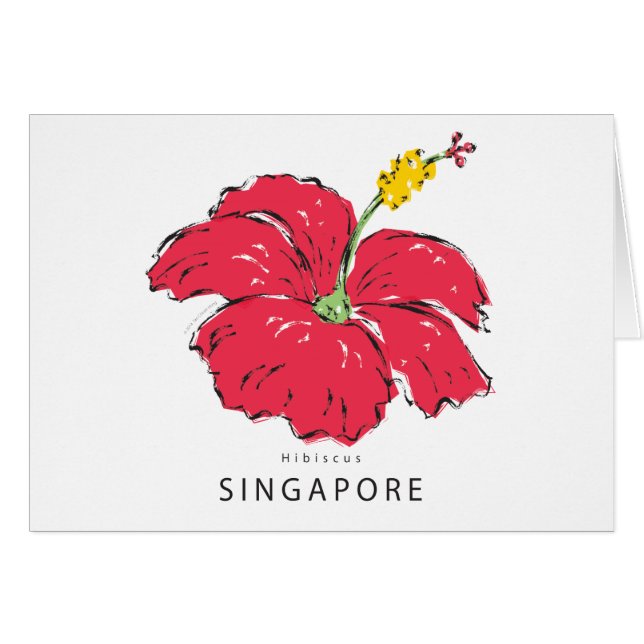 COLLECTION HIBISCUS DE SINGAPOUR (Devant horizontal)