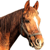 Sac À Dos Imprimé Joli Cheval Animal Equestre Étables Monogramme