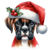 Jingle Paws en Boxer Dog Joy Groot Cadeauzakje