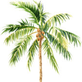 Jungle palmier aquarelle tropicale invitation