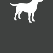 Ruban En Satin Labrador Baby shower de chien Laboratoire gris Neu