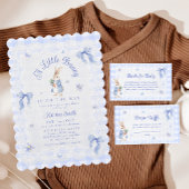 Peter Rabbit Gingham Baby Shower Diaper Raffle Poster