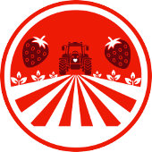 Promotion U-Pick Blueberry Farm