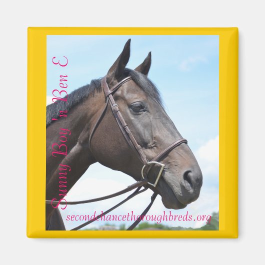 Collection Magnet Series - Sunny Boy 'n Ben E (Devant)