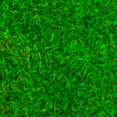 Tablier Texture de gazon vert d'un carré de terrain de foo