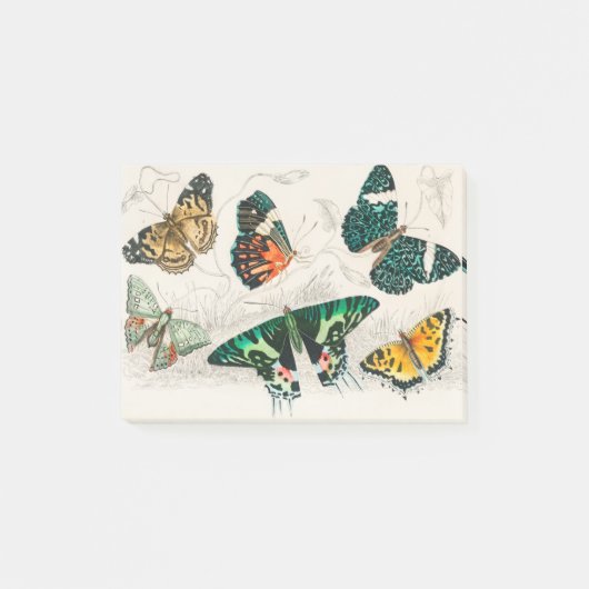 Collection of Various Butterflies Post-it® Notes (Voorkant)