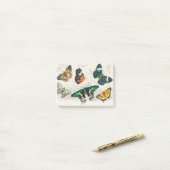 Collection of Various Butterflies Post-it® Notes (Op bureau)
