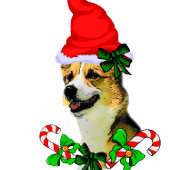 Papier Cadeau Pembroke Welsh Corgi Noël