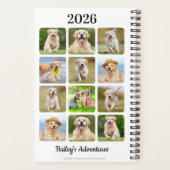 Collection photo de chien de la revue pour animaux (Dos)