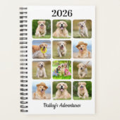 Collection photo de chien de la revue pour animaux (Devant)