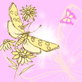 Aimant Pink Peach Butterfly