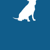 Ballotins Chien Baby shower Pit Pitbull Blue Boy