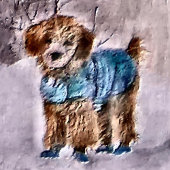 Noël Poodle Art