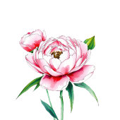 Étiquette Romantic Pink Floral Peony Illustration