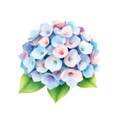 Étiquette Serene Blue Floral Hydrangea