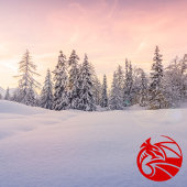 Cartes Pour Fêtes Annuelles Joyeux Noël slovène, Custom