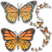 Collection Sticker Monarch Butterfly (Devant)