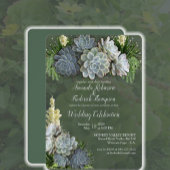 Couleurs Succulentes de blues pâles étiquettes de 