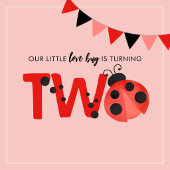 3 Photo Ladybug 2nd Birthday Invitation