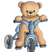 Teddy Bear Picnic Village Specialized Spandoek