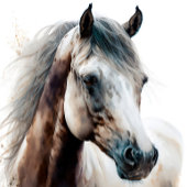 Stallion blanc | Conception aquarelle | Planificat