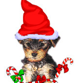 Yorkshire Terrier Kerstmis Grosgrain Lint