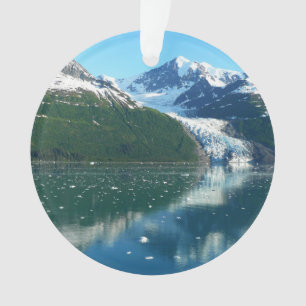 College Fjord I Mooie Alaska Fotografie Ornament